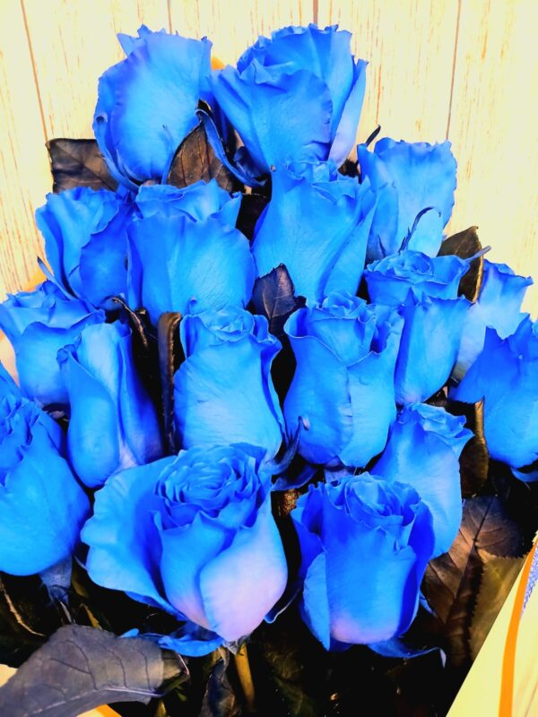 ramo 18 azules 1.2 ramo 18 azules 1.2