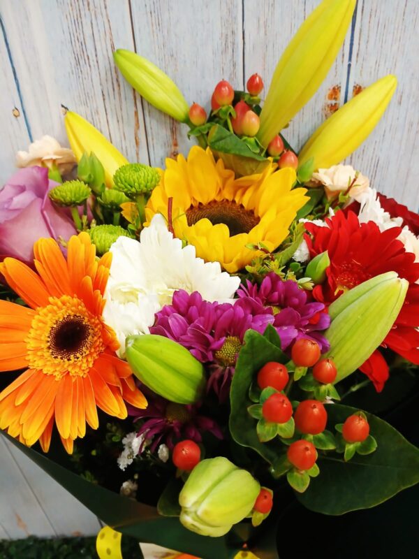 primaveral medium 6 primaveral medium 6